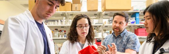 Third from left, Aaron Dingle, senior research scientist and co-director of the Microsurgery and Regenerative Medicine Laboratory in the Department of Surgery at the University of Wisconsin–Madison, works with his mentees (from left to right) Jusuf Ademi, a junior biology major getting a certificate in global health, Natalie Furtado, a second year pharmacology and toxicology major with a certificate in 3d Studio Art, Sarah Hu, a first year global health major, in the Microsurgery and Regenerative Medicine Laboratory in the Wisconsin Institutes for Medical Research on April 9, 2025. Dingle is one of 10 recipients of the Award for Mentoring Undergraduates In Research, Scholarly and Creative Activities.